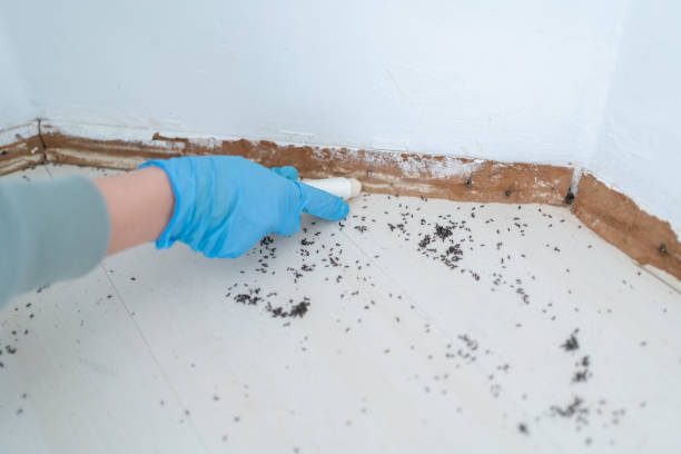 Best Pest Exclusion Services  in North Vacherie, LA